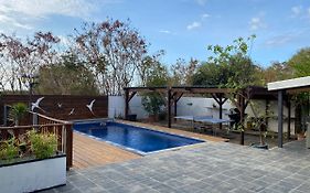 La Kaz Paille En Queue, Magnifique Villa F5 Recemment Renovee Avec Piscine Et Jacuzzi Sur La Possession